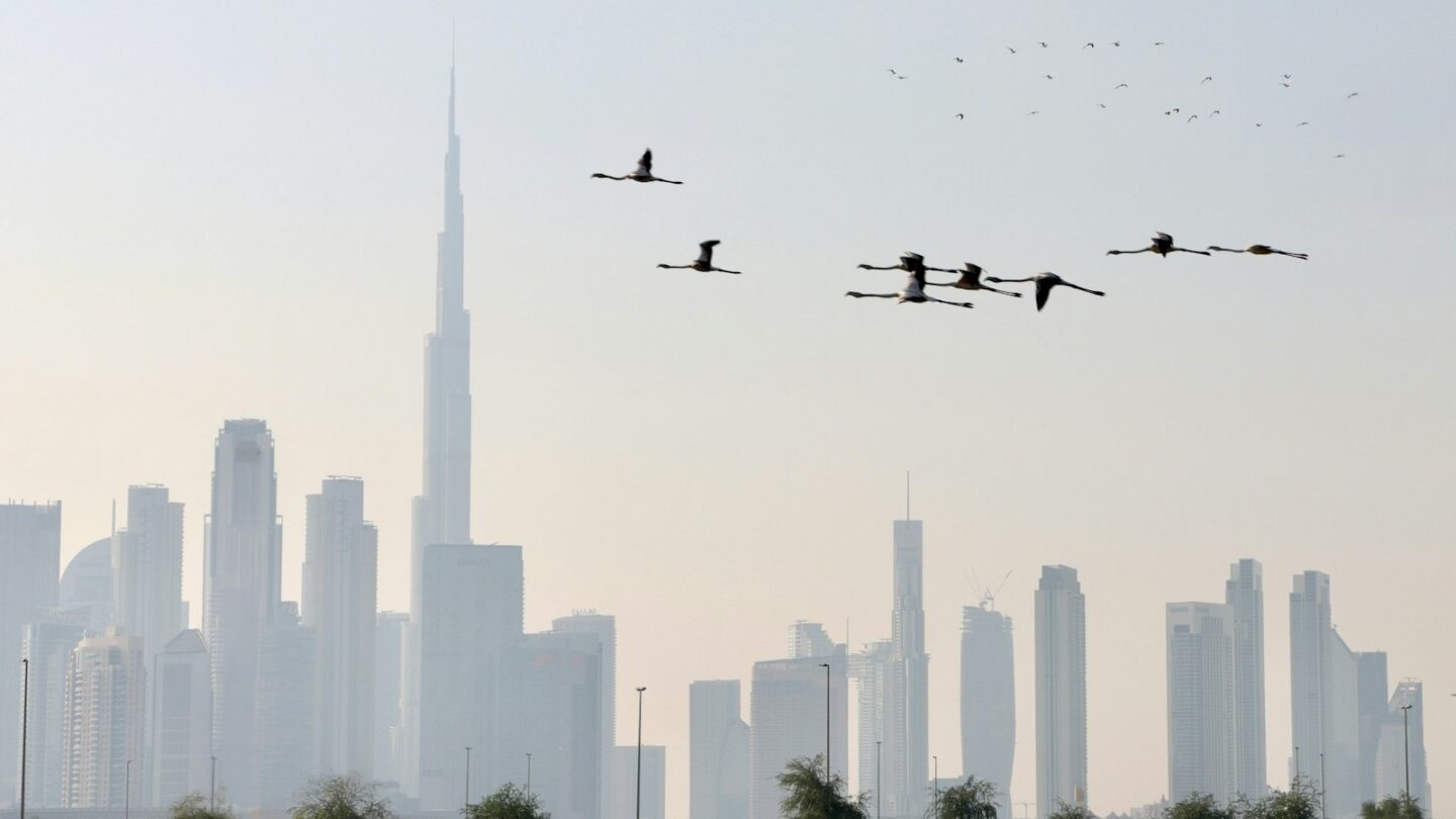 Dubai market analysis — placeholder article image