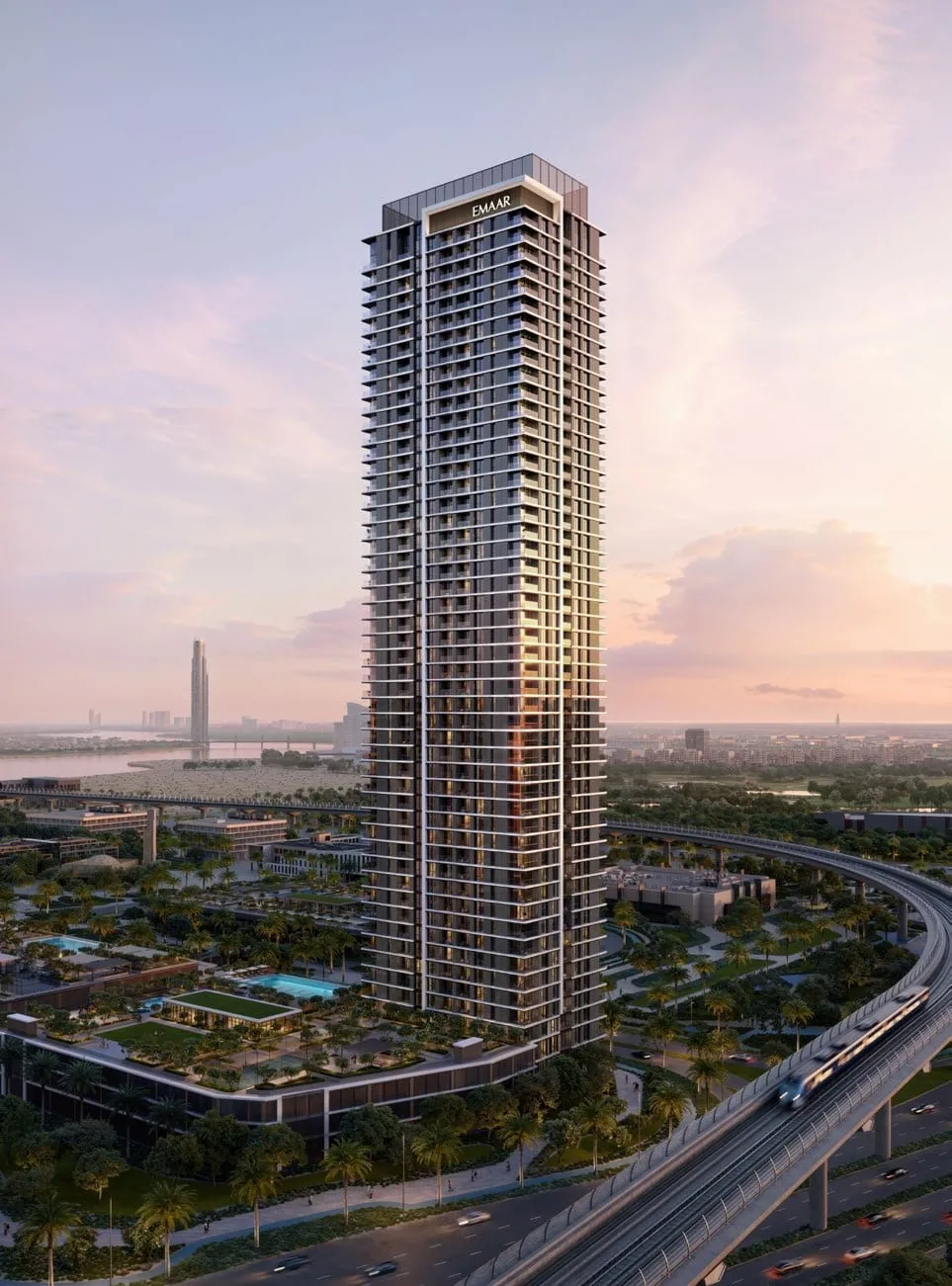 Project Archive: Silva — image 3